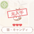 猫・キャンディ