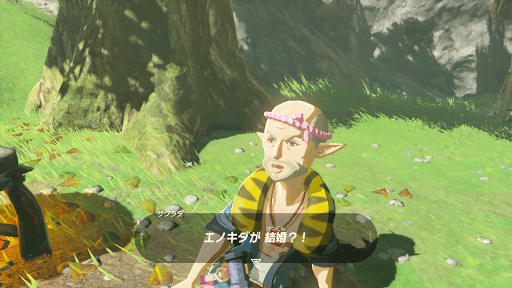 ゼルダBotW＿村作りの手順