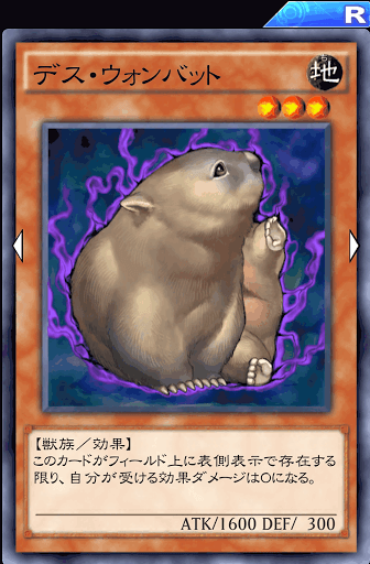 デス・ウォンバット