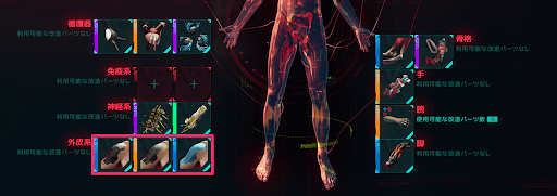 サイバーウェア_外皮系