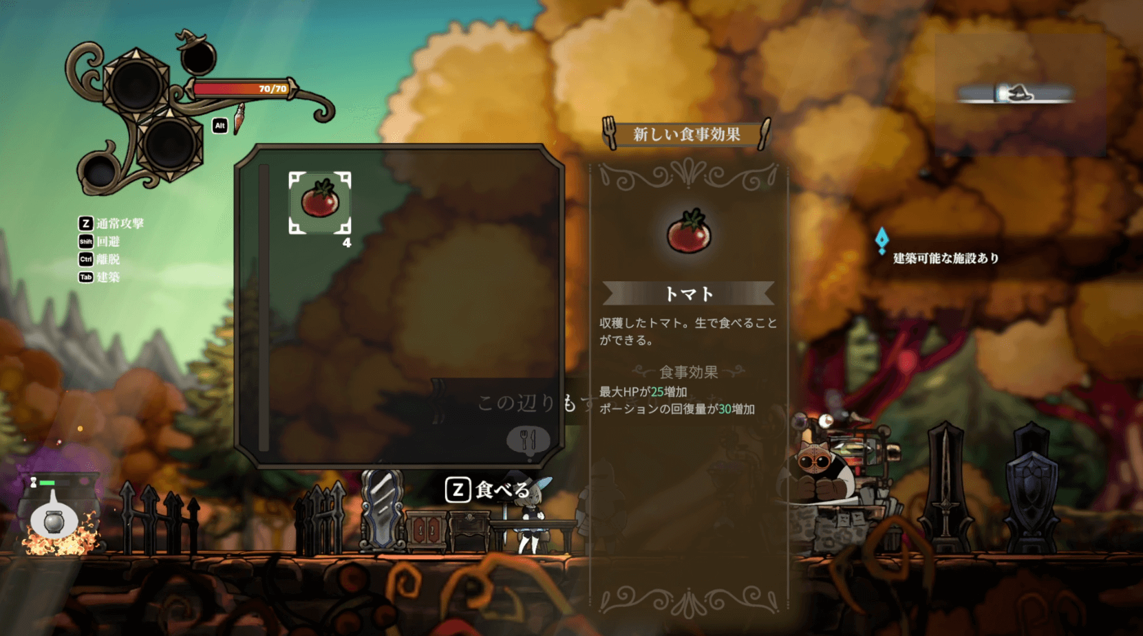 トマトを育てて食べる