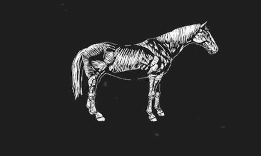 ハンガリアンハーフ