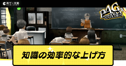 知識の効率的な上げ方