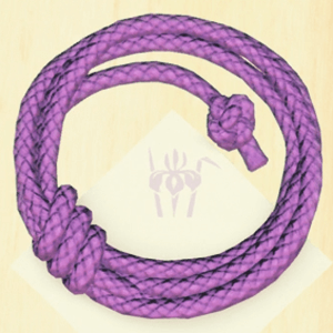 紫電ノ舞アイコン