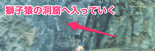 SEKIRO_数珠玉_葦名の底「毒だまり」1