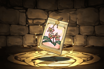 プルメリアの種子