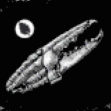 甲殻類(ワイルドミント風味)