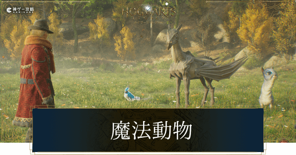 魔法動物の捕獲場所