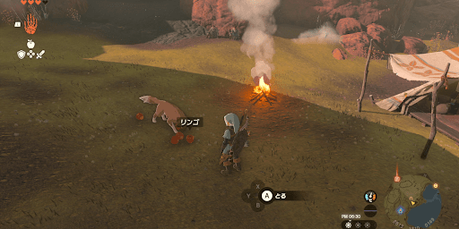 犬が満足するまで餌を与え続ける