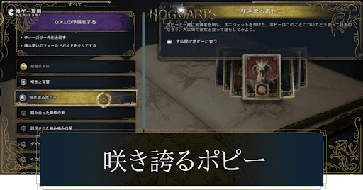 咲き誇るポピー