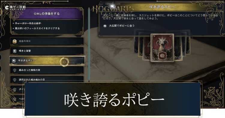 咲き誇るポピー