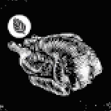 大物狩猟肉(オレガノ風味)