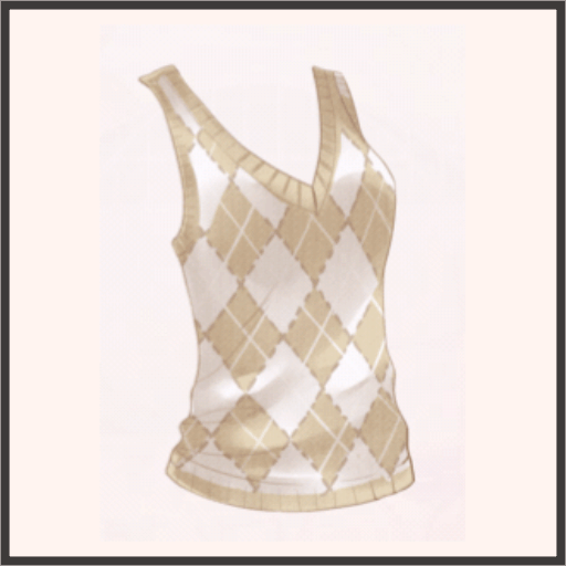 ニットベスト（茶）