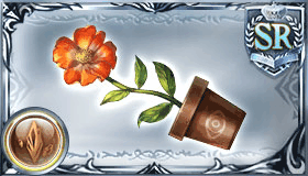 ダンスフラワー