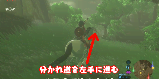 BotW_左手の道を進む