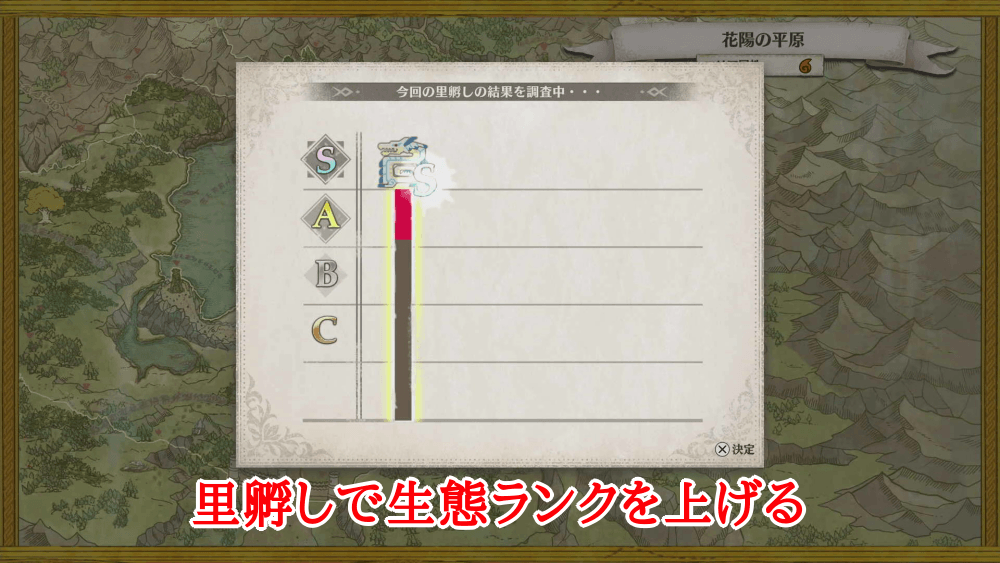 里孵しで生態ランクを上げる