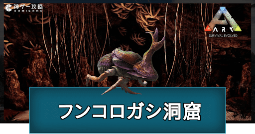 ARK_フンコロガシ洞窟