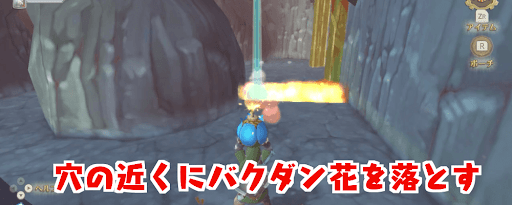 ゼルダSWS_ヒドカリはバクダン花で倒そう