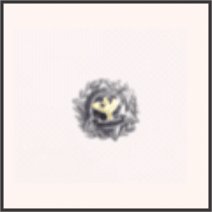 連邦警察バッジ