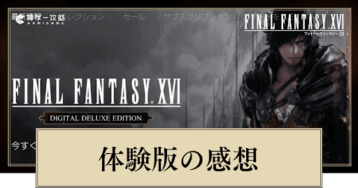 体験版の評価と感想