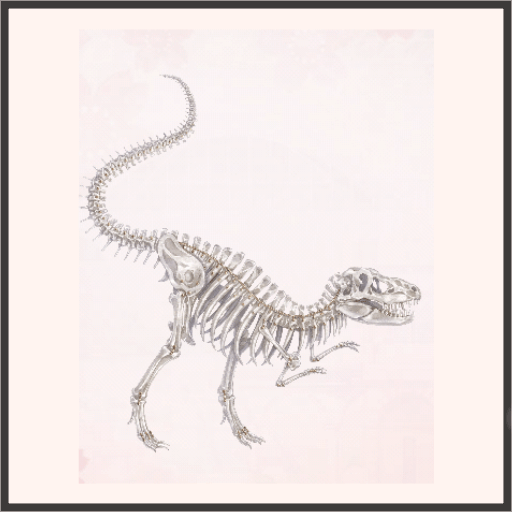 レックスの骨格標本