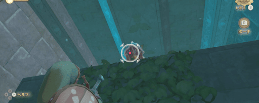 ゼルダSWS_木の柵を壊しデクババを麻痺させよう