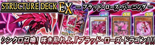 ブラッドローズバーニング_バナー1