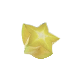 ダンメンホシニタリ