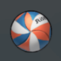 ライズバレーボール