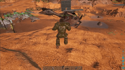 雪フクロウ配置