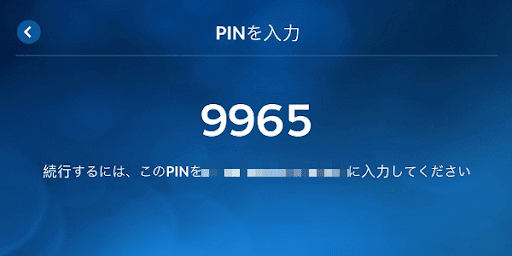 PIN入力