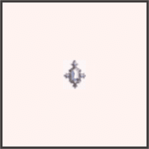 セレブの耳飾り