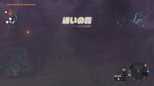 迷いの森_正面以外では入れない