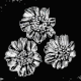 イングリッシュメース