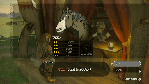 名前は慎重に決めよう