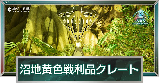 沼地黄色戦利品クレート