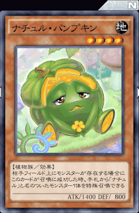 ナチュル・パンプキン