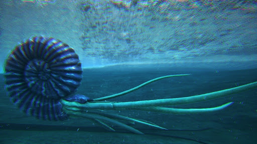 ARK_アンモナイト