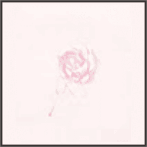 水晶の薔薇（夢）