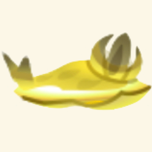 ハニーなウミウシ