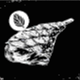 狩猟肉(オレガノ風味)