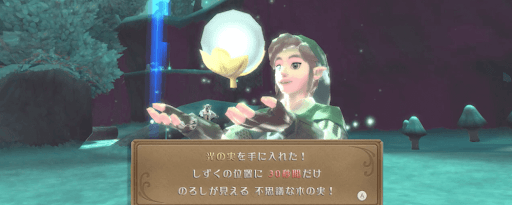 ゼルダSWS_光の実