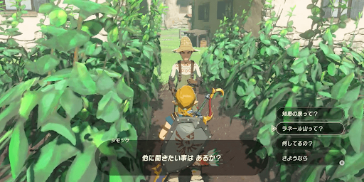 ゼルダBotW_ラネール山のお宝を探れ！
