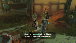 ゼルダBotW＿燃えず薬