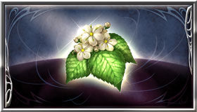 トニックフラワー