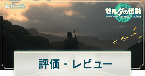 評価・レビュー