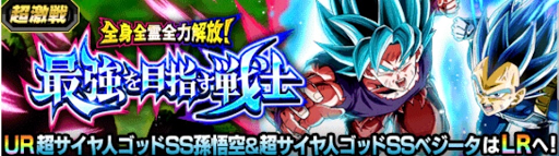 最強を目指す戦士