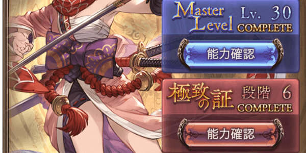 極致Lv6まで強化