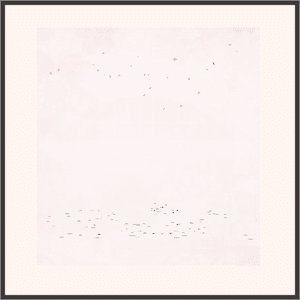 カラフルな舞踏会