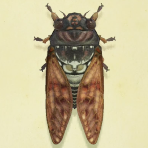 アブラゼミの値段と捕まえるコツ